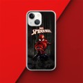 DC Comics DC Comics Back Case Spider Man