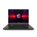 MSI Vector 17 HX A13VIG-603FR