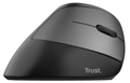 Trust Bayo Ergo Wireless Mouse ECO