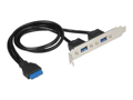 Delock Slot bracket  Panel USB