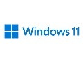 Microsoft Windows 11 Pro  Licence