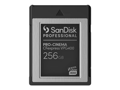 SanDisk Professional  Paměťová karta flash
