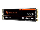 Seagate FireCuda 530R ZP4000GM3A063  SSD