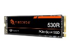 Seagate FireCuda 530R ZP2000GM3A063  SSD