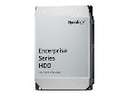 Synology HAT5310  Pevný disk
