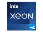 Intel Xeon W W5-3525  32