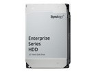 Synology HAT5320  Pevný disk