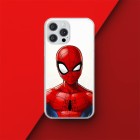 DC Comics DC Comics Back Case Spider Man
