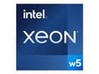 Intel Xeon W W5-2555X  33