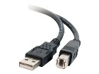 C2G 66ft USB A to USB