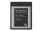 SanDisk Professional  Paměťová karta flash
