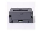 Brother HL-L2400DW  Tiskárna  Č­/B