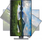 Dell 24 Dell P2419H