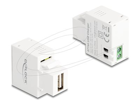 Delock Keystone module  USB adaptér
