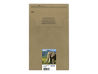 Epson 24XL Multipack Easy Mail Packaging
