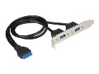 Delock Slot bracket  Panel USB