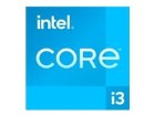 Intel Core i3 12100E  32