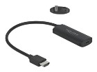 Delock Delock  Video adaptér  HDMI